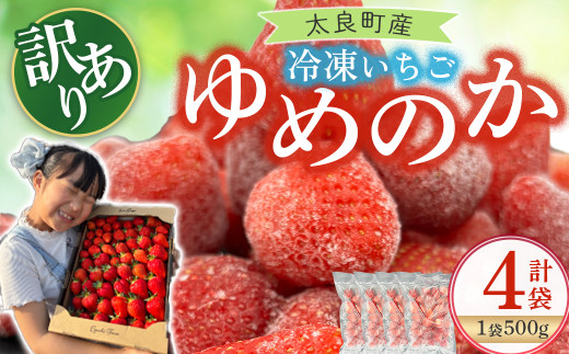 訳あり!太良町産「ゆめのか」冷凍いちご500g×4袋 佐賀県 太良町 NB45佐賀県太良町13000果物・フルーツいちご