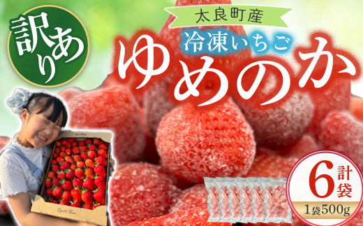 訳あり!太良町産「ゆめのか」冷凍いちご500g×6袋 佐賀県 太良町 OA9佐賀県太良町17000果物・フルーツいちご