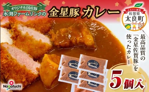 永渕ファームリンクの金星豚カレー  ブランド豚 豚肉 ぶた肉 ポーク 金星佐賀豚 国産 ポークカレー カレー 金星カレー 食品 レトルト お手軽 調理 冷凍便 冷凍品 冷凍 佐賀県 太良町 NB44佐賀