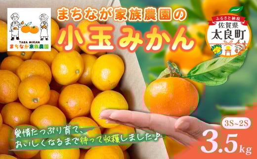 まちなが家族農園の小玉みかん 3.5kg みかん ミカン 蜜柑 たらみかん 太良みかん 温州みかん 完熟みかん 甘熟 柑橘 国産 佐賀県産 太良町 こだわり 有機栽培 産地直送 贈答品 詰め合わせ 極甘