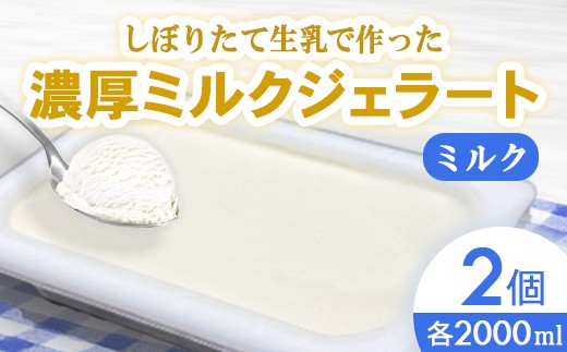 しぼりたて生乳で作った濃厚ミルクジェラート(2000ml×2個) ジェラート シャーべット アイスクリーム アイス 生乳 ミルク ジェラート 大容量 クリーミー デザート 氷菓子 スイーツ 濃厚 冷