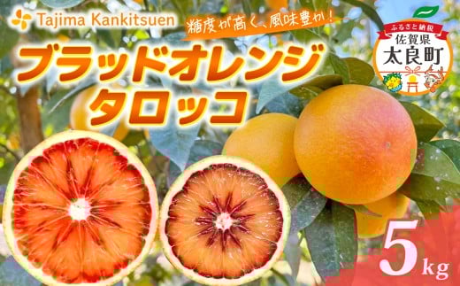 ck&H̃ubhIW(^bR)5kg@~J ݂ ubhIW ^bR ʕ  t[c ʎ k ubh IW  ꌧ ǒ O182ꌧǒ150