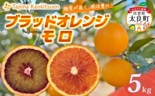 田島柑橘園&加工所のブラッドオレンジ(モロ)5kg ミカン みかん ブラッドオレンジ モロ 果物 くだもの フルーツ 果実 柑橘 ブラッド オレンジ 蜜柑 佐賀県 太良町 O183佐賀県太良町15000果物・