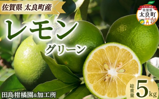 田島柑橘園&加工所のレモン(グリーン)5kg レモン れもん 檸檬 フルーツ 果物 柑橘 グリーン 果汁 酸味 ビタミン 健康 国産 減農薬栽培 佐賀県 太良町 ND19佐賀県太良町14000果物・フルーツみか