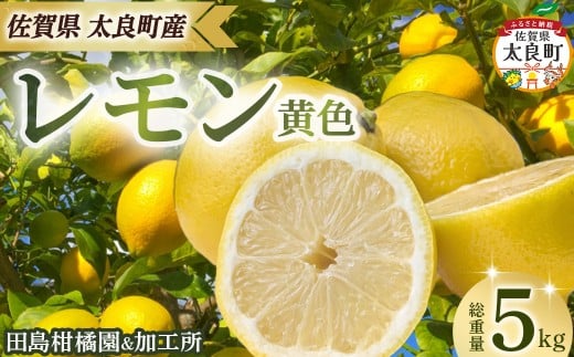 田島柑橘園&加工所のレモン(黄色)5kg レモン れもん 檸檬 フルーツ 果物 柑橘 グリーン 果汁 酸味 ビタミン 健康 国産 減農薬栽培 佐賀県 太良町 ND20佐賀県太良町14000果物・フルーツみかん・