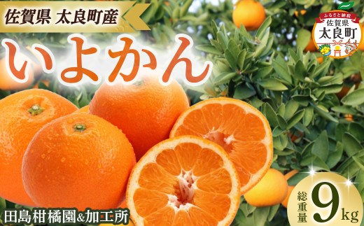 ck&Ĥ悩9kg@݂ k  悩 ɗ\ n ʕ  ʎ 񂫂 t[c W[V[ ʓ r^~ ꌧ ǒ OA17ꌧǒ16000ʕEt[