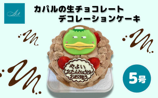 nL Jp̐`R[gfR[VP[L/5ʌu؎s19000َqEXC[cP[LEJXe