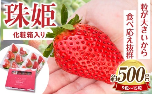 y2026N1`3{zϔ肢yPz _Ȃ₳Â P  2pbN 9~15 ϔ ^ 傫  ʕ t[c fU[g 蕨 