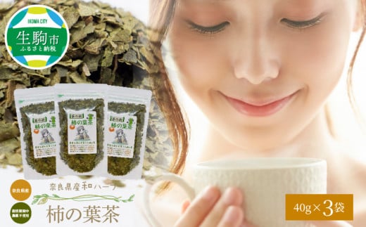 奈良県産柿の葉茶 柿の葉茶 40g × 3袋 国産 健康 健康茶 安心 安全 奈良のうまいもの 茶の術 和ハーブ ハーブ ノンカフェイン ビタミンC 健康志向 飲料 ホット 素朴 飲みやすい 奈良県産 お茶
