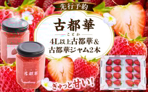 【2026年2月〜3月発送】高級いちご「古都華」4L以上2パック&古都華ジャム2個 先行予約 ことか 甘い 糖度 濃い 濃厚 果汁 朝摘み いちご イチゴ 苺 ジャム フルーツ 果物 果物 ご褒美 ごほ