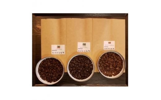 厳選コーヒー豆100g×5種類セット兵庫県西宮市10000お茶・飲料コーヒー・紅茶