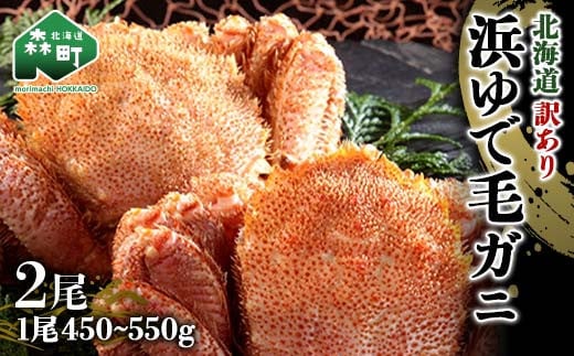 y󂠂zkC l䥂Ŗт450`550g 2 qCGXt[Yr  Jj I Kj  X ӂ邳Ɣ[ kC ъI т уKj уJj mr1-0913kCX35000ECYJj