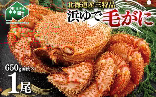 【北海道産三特品】浜ゆで毛がに 650g前後×1尾<ワイエスフーズ> かに カニ 蟹 ガニ がに 森町 ふるさと納税 北海道 毛蟹 毛かに 毛ガニ 毛カニ mr1-0431北海道森町14000魚介・海産物カニ