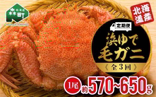 『定期便』 【北海道産】 浜ゆで毛ガニ×1尾全3回<道産ネットミツハシ> 毛ガニ 毛蟹 かに カニ ふるさと納税 北海道 mr1-0355北海道森町72000魚介・海産物カニ