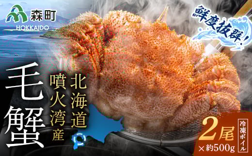 北海道・噴火湾産冷凍ボイル毛ガニ約500g前後×2尾 <海鮮問屋 株式会社 瑞宝> かに カニ 蟹 ガニ がに 森町 ふるさと納税 北海道 毛蟹 毛かに 毛ガニ 毛カニ mr1-0949北海道森町45000魚介・