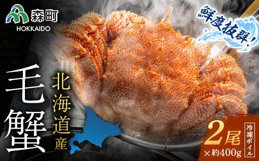 kCY Ⓚ{CуKj 400gO×2 CN≮@Ё@  Jj I Kj  X ӂ邳Ɣ[ kC ъI т уKj уJj mr1-0947kCX35000ECYJj