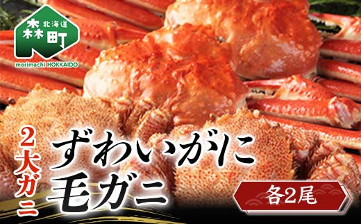 二大がに 〜ずわいがに 2尾・毛がに 2尾 食べくらべセット〜<ワイエスフーズ> かに カニ 蟹 ガニ がに 森町 ふるさと納税 北海道 毛蟹 毛かに 毛ガニ 毛カニ ズワイガニ mr1-0435北海道森町38