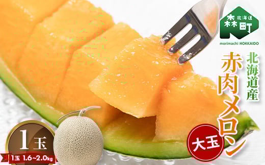【先行予約】北海道森町産赤肉メロン大玉 1玉(約1.6〜2kg)(2026年6月上旬〜8月上旬頃に順次お届け)<道産ネットミツハシ>  森町 メロン 果物 赤肉 北海道産 ふるさと納税 北海道 mr1-0815