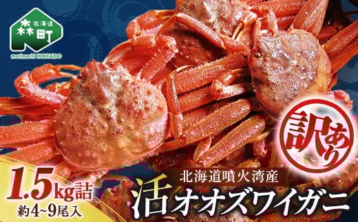 【訳あり】北海道噴火湾産 活オオズワイガニ1.5kg <道産ネットミツハシ> かに カニ 蟹 ガニ がに 森町 ふるさと納税 北海道 ずわいがに mr1-0601-5北海道森町10000魚介・海産物カニ