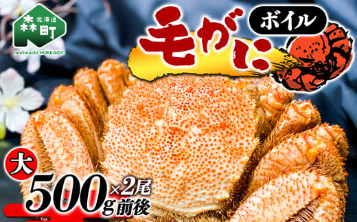 ykCYz{CтɁi500gO×2j㕽Y  Jj I Kj  X ӂ邳Ɣ[ kC ъI т уKj уJj mr1-0188kCX26400ECYJj