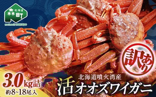 【訳あり】北海道噴火湾産 活オオズワイガニ 3.0kg <道産ネットミツハシ> かに カニ 蟹 ガニ がに 森町 ふるさと納税 北海道 ずわいがに mr1-0451-5北海道森町12000魚介・海産物カニ
