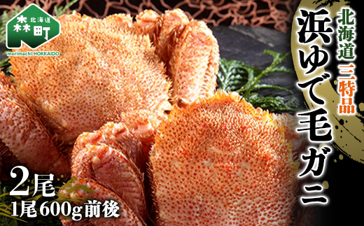 600g前後×2尾 浜ゆで毛蟹 【北海道産三特品】 〈ワイエスフーズ〉 かに カニ 蟹 ガニ がに 森町 ふるさと納税 北海道 毛蟹 毛かに 毛ガニ 毛カニ mr1-0432北海道森町24000魚介・海産物カニ