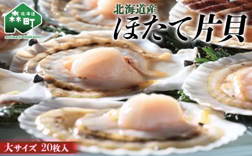 北海道産 ほたて片貝 大サイズ(20枚入) <ワイエスフーズ> 森町 ほたて 帆立 ホタテ 海産物 魚貝類 ふるさと納税 北海道 mr1-0880北海道森町18000魚介・海産物貝類