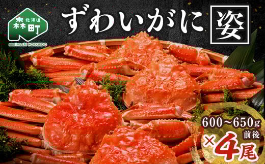 【順次発送】 ずわいがに姿 600〜650g前後 4尾 <ワイエスフーズ> かに カニ 蟹 ガニ がに 森町 ふるさと納税 北海道 ずわいがに ずわいかに ズワイガニ mr1-0853-1北海道森町48000魚介・海産物カ