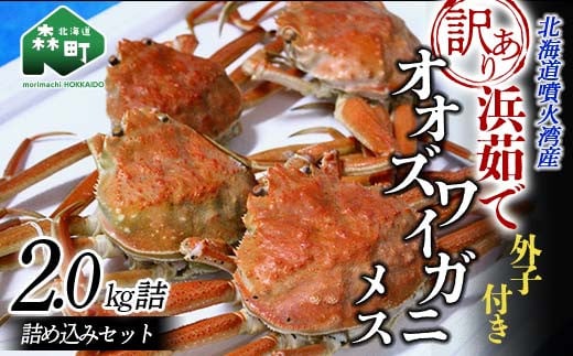 【訳あり】浜茹でオオズワイガニのメス(外子付き)2kg 詰め込みセット 北海道噴火湾産 <道産ネットミツハシ> かに カニ 蟹 がに 北海道 森町 ふるさと納税 mr1-0727北海道森町10000魚介・海