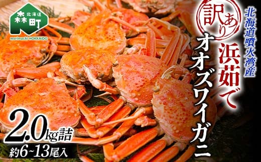 【順次発送】【訳あり】浜茹でオオズワイガニ 2.0kg 詰め込みセット 北海道噴火湾産 <道産ネットミツハシ> かに カニ 蟹 がに 北海道 森町 ふるさと納税 mr1-0736-6北海道森町10000魚介・海産