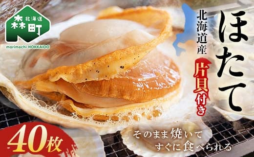 北海道・噴火湾・森産 冷凍ほたて片貝40枚 <海鮮問屋 株式会社 瑞宝> 森町 ほたて 帆立 ホタテ 海産物 魚貝類 ふるさと納税 北海道 mr1-0916北海道森町20000魚介・海産物貝類
