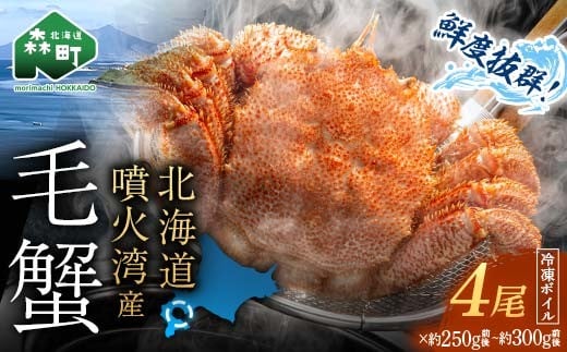 【訳あり】北海道・噴火湾産冷凍ボイル毛ガニ約300g前後×4尾 新物 2025年6月〜7月水揚げ 毛ガニ 毛カニ 蟹 かに かにみそ 海産物 海鮮 森町 mr1-1047北海道森町24000魚介・海産物カニ