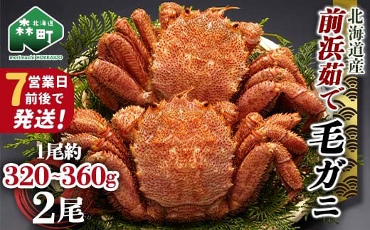 【7営業日前後で発送】北海道 毛ガニ 容量が選べる 前浜茹で毛がに 約320g〜360g 2尾 かに カニ 蟹 ガニ がに 森町 毛蟹 毛かに 毛がに 毛カニ 毛ガニ mr1-1028北海道森町20000魚介・海産物カニ
