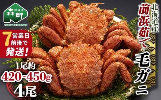 【7営業日前後で発送】北海道 毛ガニ 容量が選べる 前浜茹で毛がに 約420g〜450g 4尾 かに カニ 蟹 ガニ がに 森町 毛蟹 毛かに 毛がに 毛カニ 毛ガニ mr1-1040北海道森町50000魚介・海産物カニ