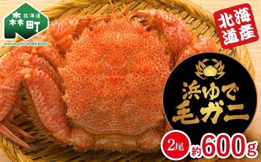 【北海道産】 浜ゆで毛ガニ×2尾 計600g前後 mr1-1059北海道森町12000魚介・海産物カニ