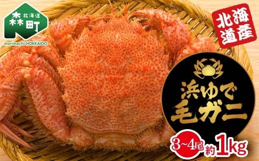 【北海道産】 浜ゆで毛ガニ×3〜4尾 計1kg前後 mr1-1060北海道森町15000魚介・海産物カニ