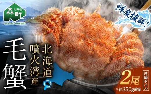 【訳あり】北海道・噴火湾産冷凍ボイル毛ガニ約350g前後×2尾 <海鮮問屋 株式会社 瑞宝> かに カニ 蟹 ガニ がに 森町 ふるさと納税 北海道 毛蟹 毛かに 毛ガニ 毛カニ mr1-1166北海道森町1