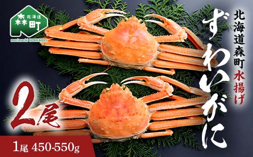 【12/27~12/31にお届け】ずわいがに(450g〜550g) 2尾入り 北海道森町水揚げ かに カニ 蟹 ガニ がに 森町 ふるさと納税 北海道 ずわいかに ズワイガニ mr1-1101北海道森町16500魚介・海産物カニ
