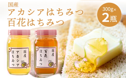 No.294 アカシア・百花はちみつ 各約300g×2個(合計600g) / 蜂蜜 ハチミツ 埼玉県 特産埼玉県秩父市20000鍋セット・総菜・加工食品ジャム・はちみつ
