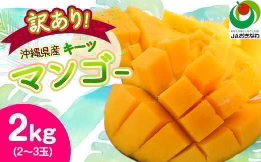 <2026年8月から順次発送・訳あり>JAおきなわ厳選!沖縄県産キーツマンゴー2kg(2〜3玉)_ マンゴー フルーツ 果物 くだもの キーツマンゴー 人気 おすすめ  訳あり 傷 規格外 完熟 沖縄県 常温