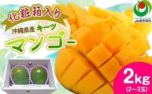 <2026年8月から順次発送・化粧箱>JAおきなわ厳選!沖縄県産キーツマンゴー2kg(2〜3玉)_ マンゴー フルーツ 果物 くだもの キーツマンゴー 人気 おすすめ  贈答 ギフト プレゼント 化粧箱 完熟