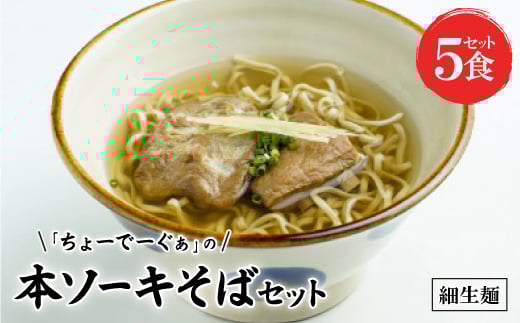 〈細生麺〉ちょーでーぐぁ 沖縄そば(本ソーキ)5食セット【1523265】沖縄県西原町15000麺その他 麺
