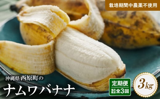 <毎月定期便>西原町の栽培期間中農薬不使用のナムワバナナ3kg全3回【4069633】沖縄県西原町30000果物・フルーツその他 果物・フルーツ