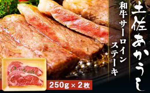 土佐あかうし【和牛サーロイン/ステーキ】500g(250g×2枚)高知県南国市36000肉牛肉