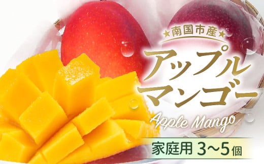 ys\zm썑sY^ƒpAbv}S[i2026N6`jy}S[ t[c  fU[g ] lC ߁zy}S[ Abv}S[ t[c ʕ 