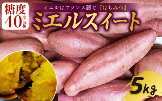 【新芋発送開始】 ミエルスイート 5キロ サツマイモ 芋 いも ミエルスィート おやつ スイーツ いも天 芋天 焼き芋 焼いも 焼芋 やきいも 高知県 南国市高知県南国市10000野菜・きのこじゃが