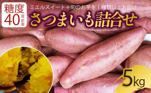 【新芋発送開始】 サツマイモ 詰め合わせ 5キロ ミエルスイート +1種類以上  安納黄金 紅はるか 土佐紅  焼き芋 焼いも 焼芋 やきいも 野菜 やさい 食品 人気 おすすめ  高知県 南国市高知県