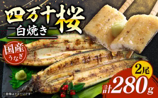 【通常用】極上国産うなぎ四万十桜 白焼き約140g×2尾 | 完全無投薬 うなぎ 鰻 白焼き 国産 四万十鰻 蒲焼き 調理済み タレ付き ギフト(お歳暮/お正月)高級 お取り寄せ グルメ 食べ比べ 冷
