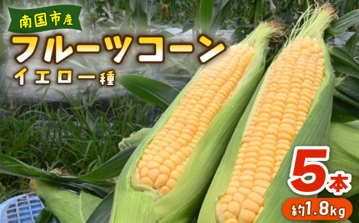 南国フルーツコーン イエロー種 5本 | とうもろこし セット 国産 詰合せ 期間限定 数量限定 人気 高知県 南国市 農園けんぴ高知県南国市8000野菜・きのことうもろこし