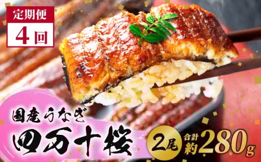 【通常用】【4回定期便】極上国産うなぎ四万十桜 蒲焼き約140g×2尾 | うなぎ 鰻 蒲焼き 定期便 国産 四万十鰻 白焼き 調理済み タレ付き 頒布会 ギフト(お歳暮/お正月)高級 お取り寄せ グ